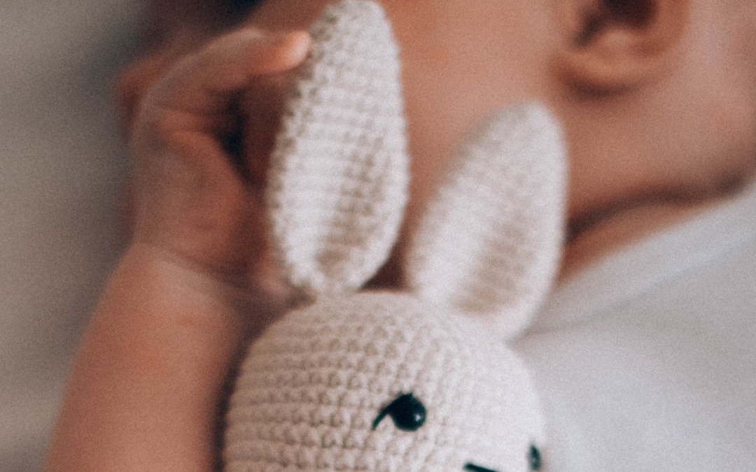 Compras MINIMALISTAS para el recién nacido