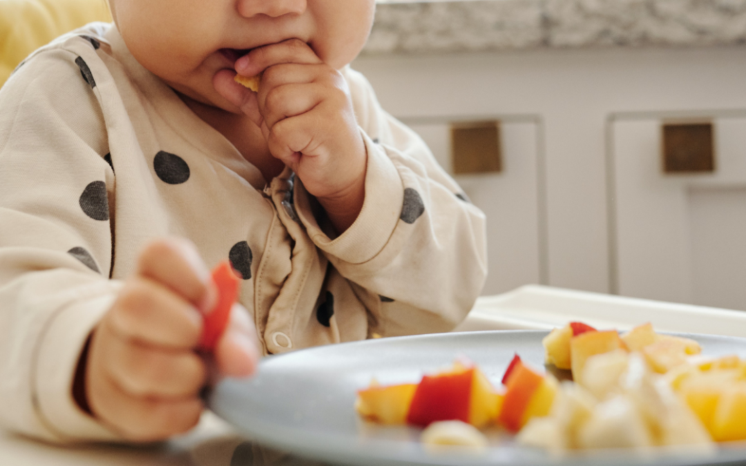 Qué es el Baby Led Weaning (BLW) y cuáles son sus ventajas.