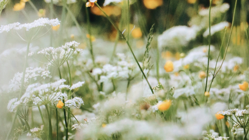 Todo lo que necesitas para un paseo de primavera con tu recién nacido